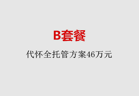 金华B套餐：代怀全托管方案46万元